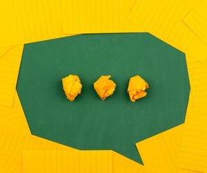 Neue Gentechnikverfahren in der Landwirtschaft - unser Brief am MP Söder