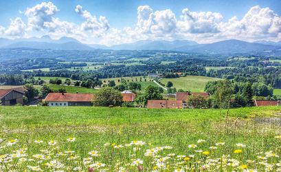 Glyphosatfreier Landkreis Miesbach seit 2017 – Wir sind dabei! – Bild von holzijue auf Pixabay.