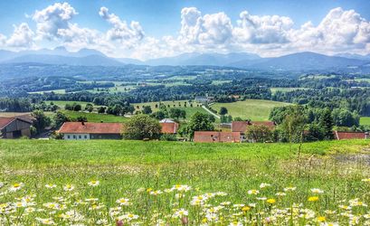 Kommt jetzt die Gentechnik in der Landwirtschaft durch die Hintertür?