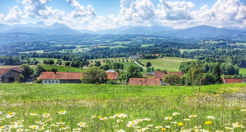 Landkreis Miesbach setzt Zeichen als „Glyphosatfreier Landkreis“ – Bild von holzijue auf Pixabay.