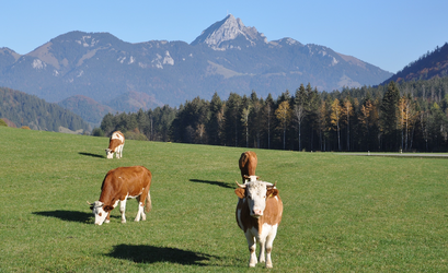 Veranstaltung am 18. März: Gemeinsam für eine bäuerliche und nachhaltige Landwirtschaft